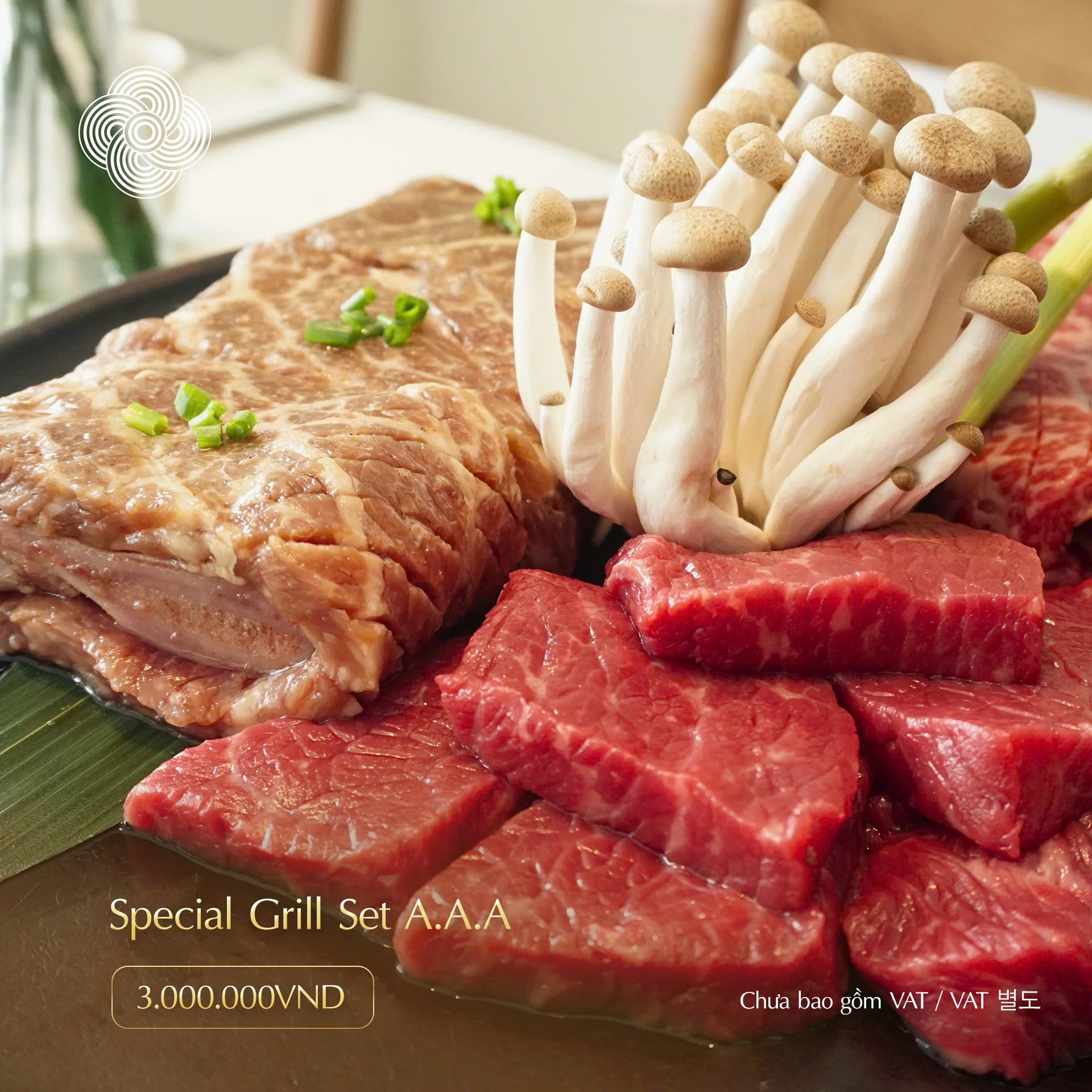 The Galbi Show